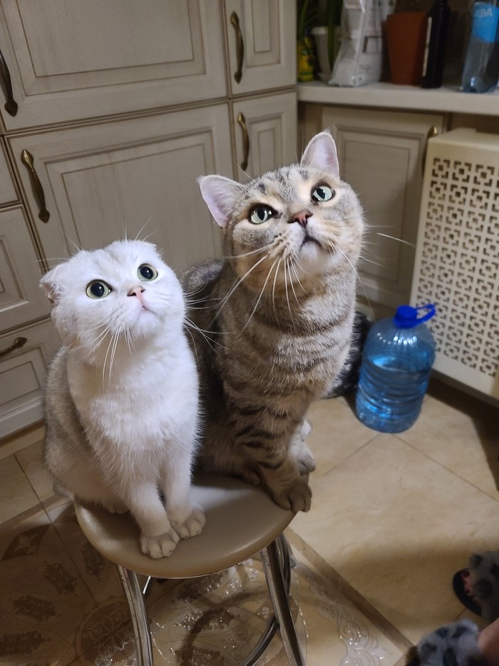 ��� ������ ���� � ����� �� ��!