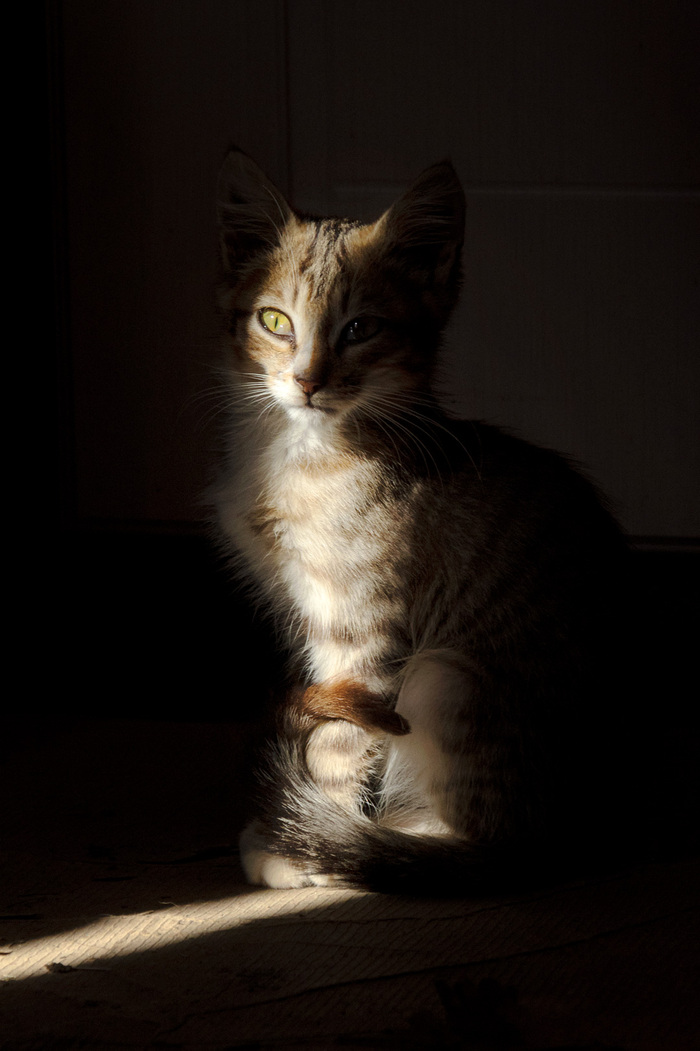 ����� �� ���� ���� ������ ���������� ����