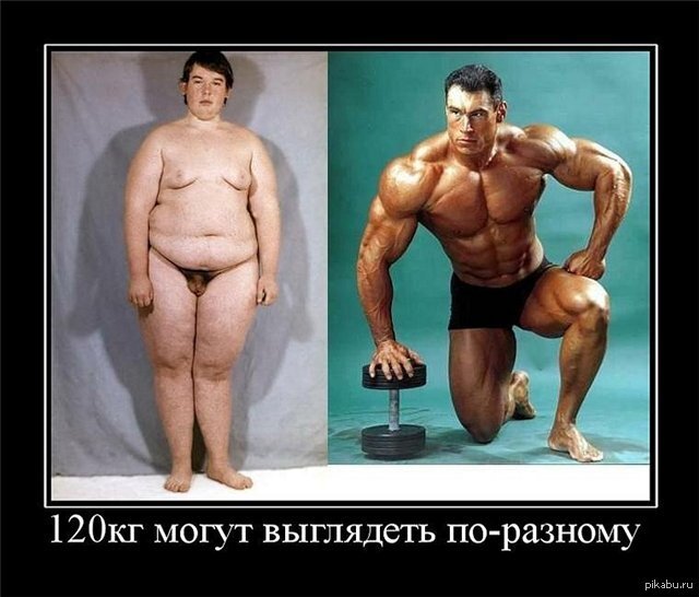 ��� �� ������� ���� ������ ����� ��� ����� �����������: 