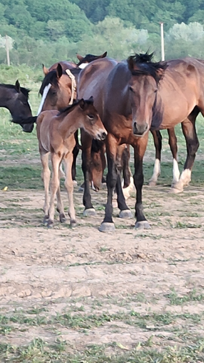 �� � ����� �������, ������� ��� ������. �������� ���� ������ �� �����.