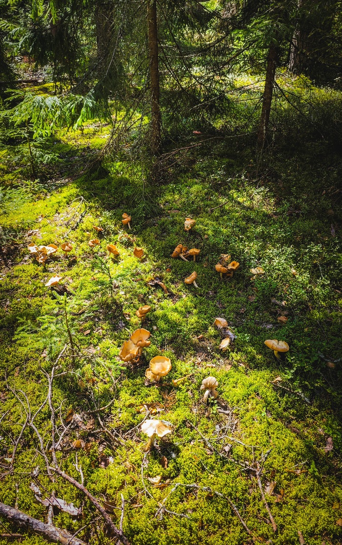 ��� ������ ���������. ��� �������� ����� ����� ��������� ������� �������. ���� 4. ����������� ����� � ������� �� ������ � �������