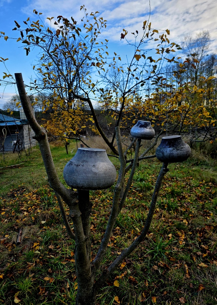 Моё лучшее фото 2025