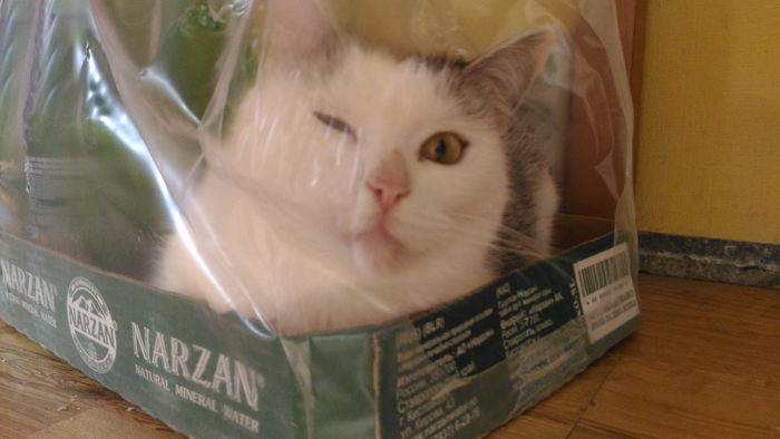 "Дуся! Вы меня озлобляете. Я человек, измученный нарзаном." (цитата)