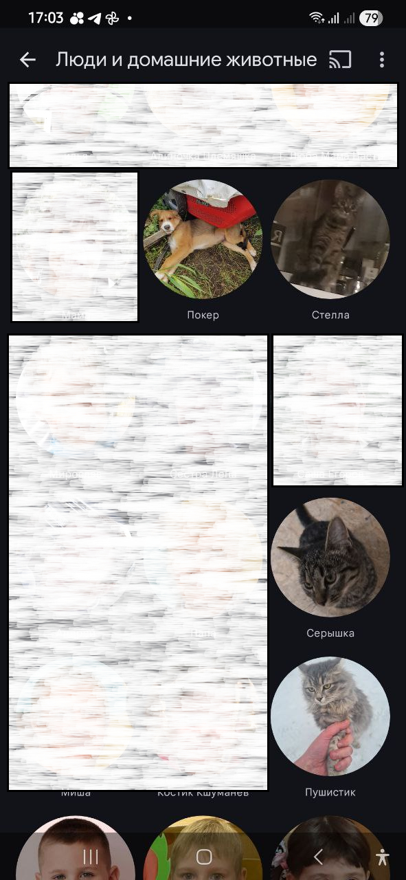 Функция распознования лиц и морд в фото-галереях)))) Поиск альтернатив...