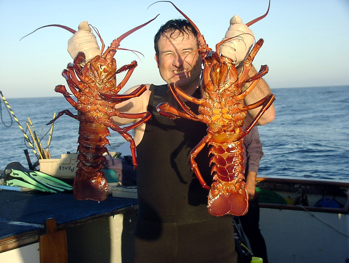 Когда папа решил заплести косички своим дочкам.