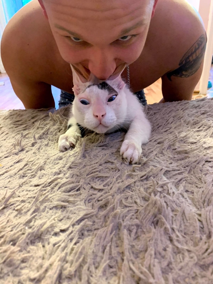 Моё лучшее фото кота