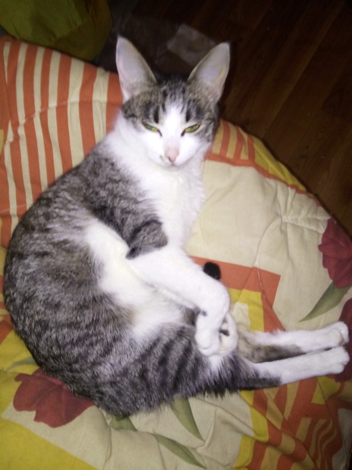 ����� �� ���� �������� �� 0 �� 10�