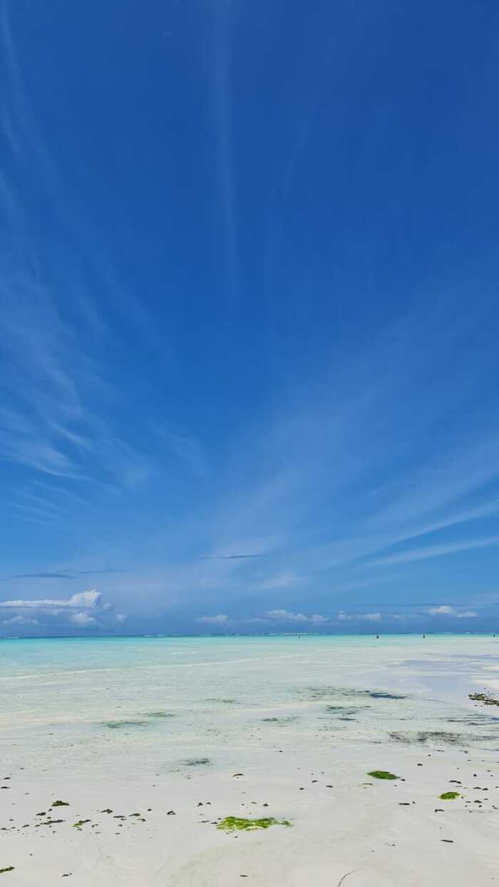 ��� ������ ���� 2025 ����