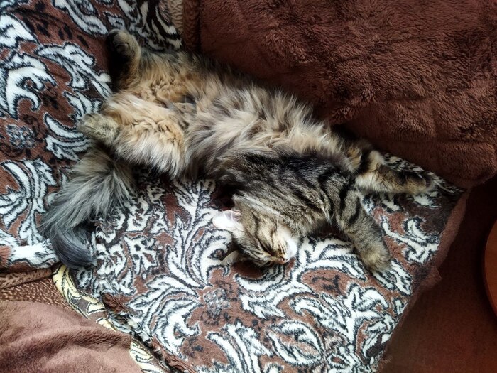 ����� �� ���� �"�����������, ��� �� ����������, ������� ���� ����"�