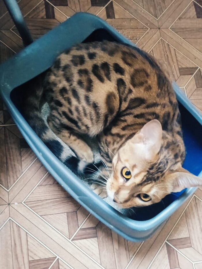 ����� ��� �����, ��� ������ � ��� ����� ����