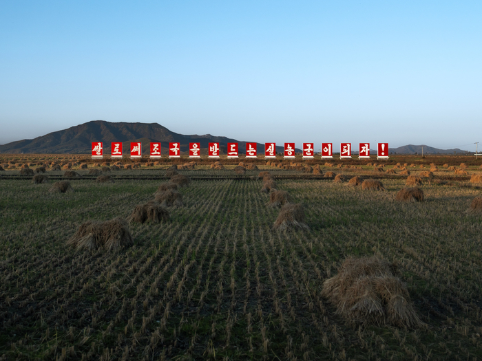 «Станем настоящими крестьянами, поддерживающими Родину рисом!»