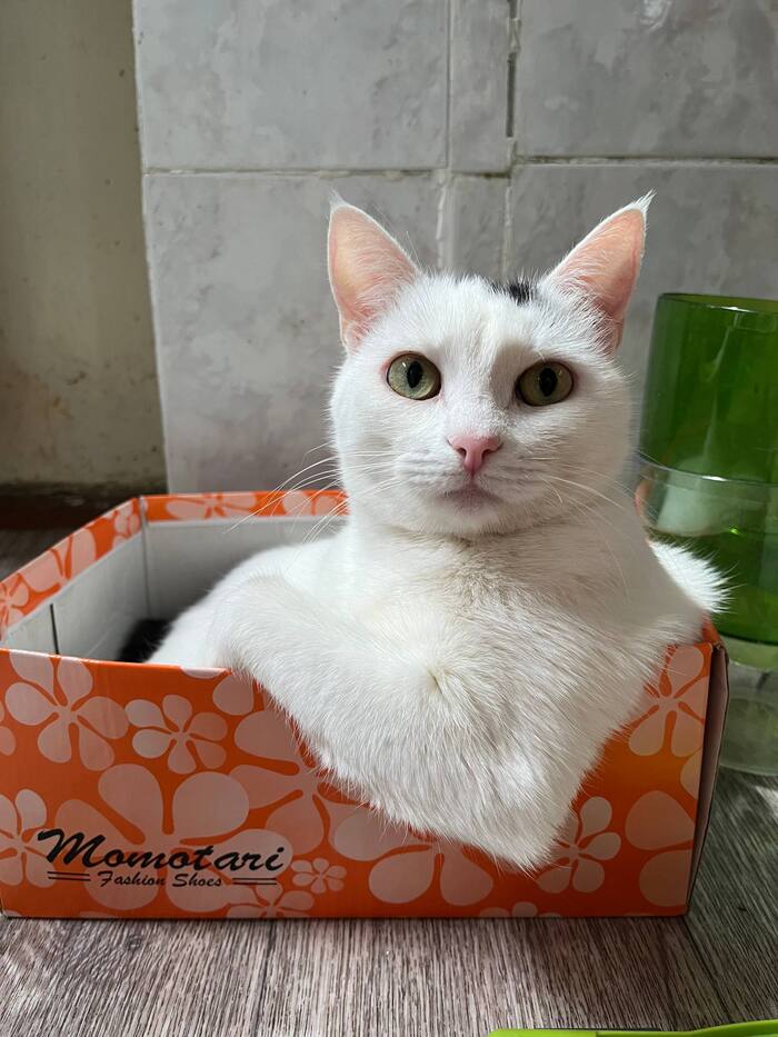 Привет!" Я подсяду?