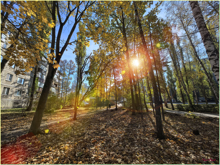 Ответ Eliza1618 в «Лучший кадр 2025 года»