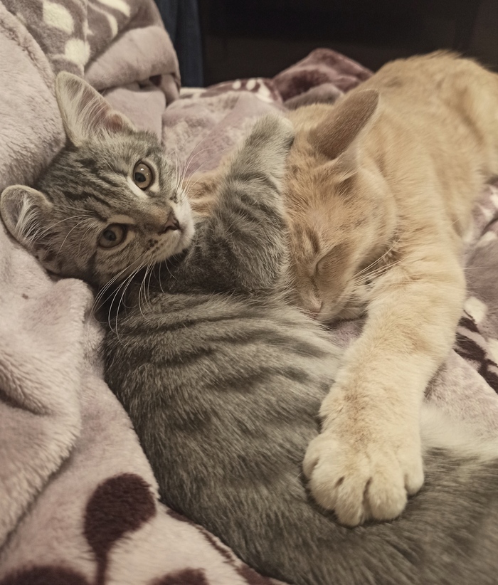 Микуша и Алиска