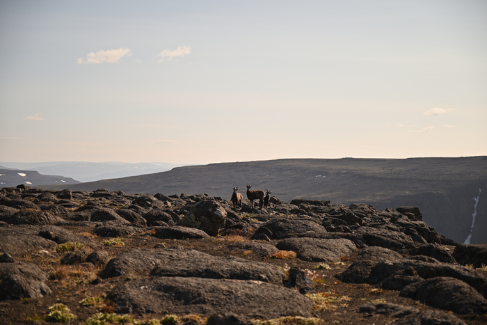 ����� �� ���� ������� ���� 2025 ����