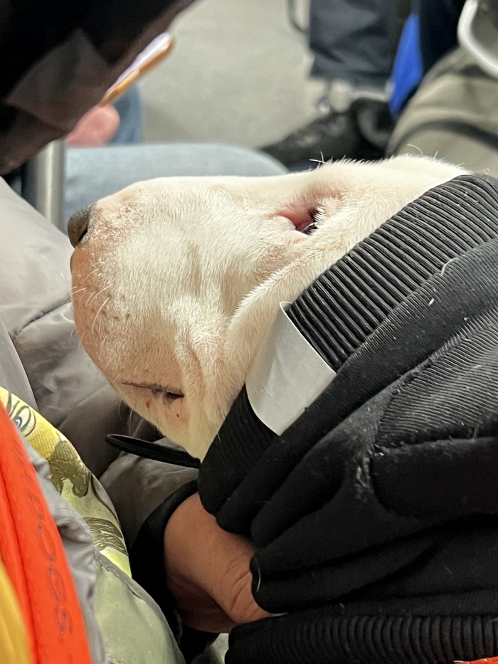 а тут он еще солнышко