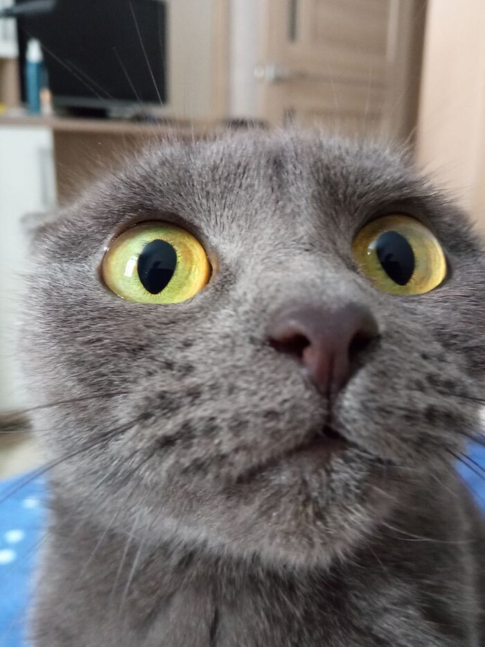 Как это новый год через 2 недели?!