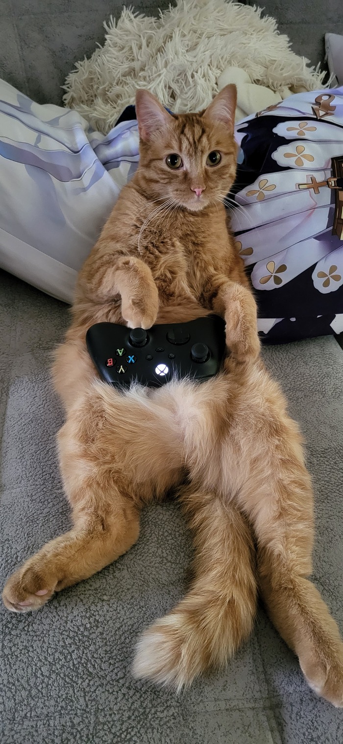 Ответ на пост «Оцените от 0 до 10»