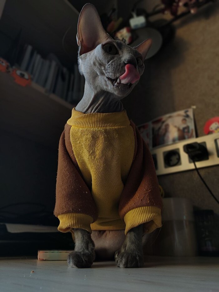 ���� �����