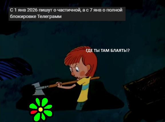 А ну откапывайся