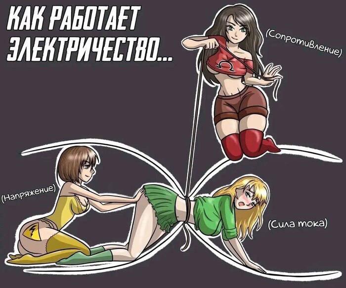 ������������ ��������