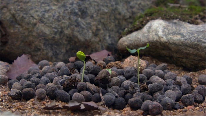 Из грязи в князи.