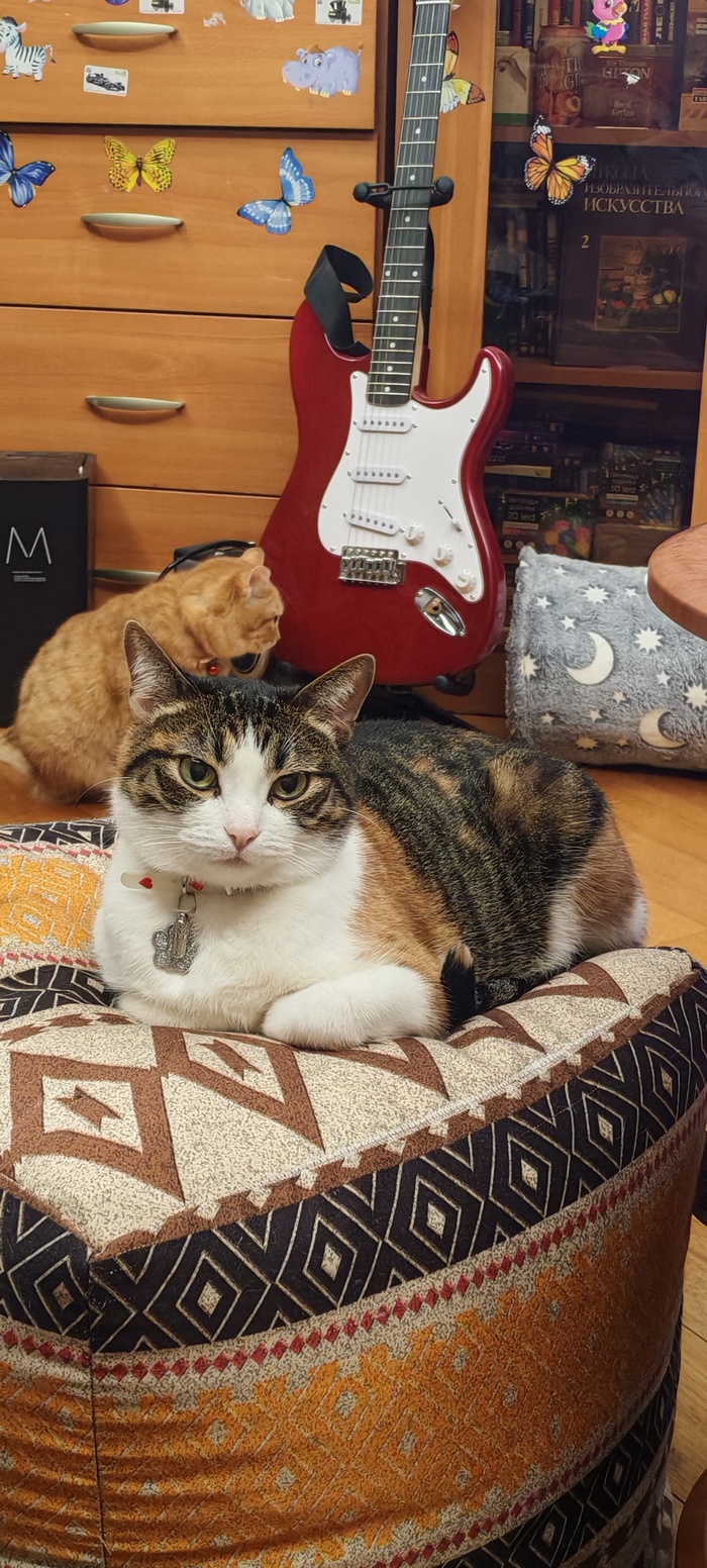 ������� ���������� ������