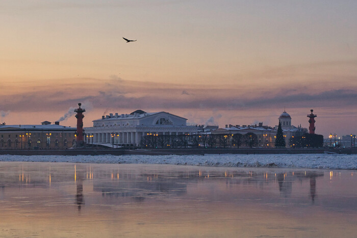 Зимняя Стрелка с птичкой