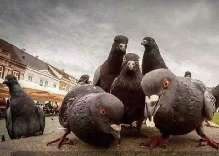 Новый немецкий анекдот :)