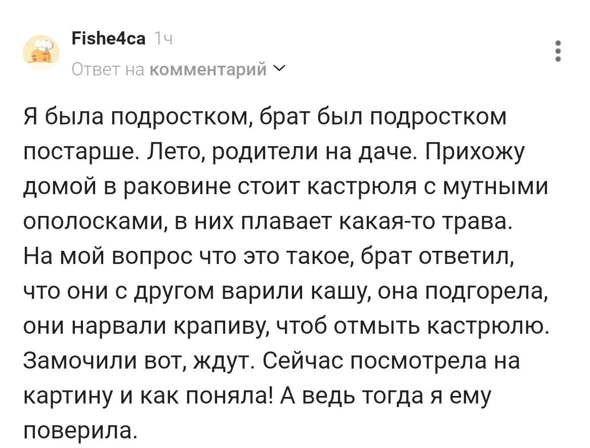 Теперь я поняла !!! - Скриншот, Комментарии на Пикабу, Комментарии, Наркотики, Подростки, Сестры, Посуда
