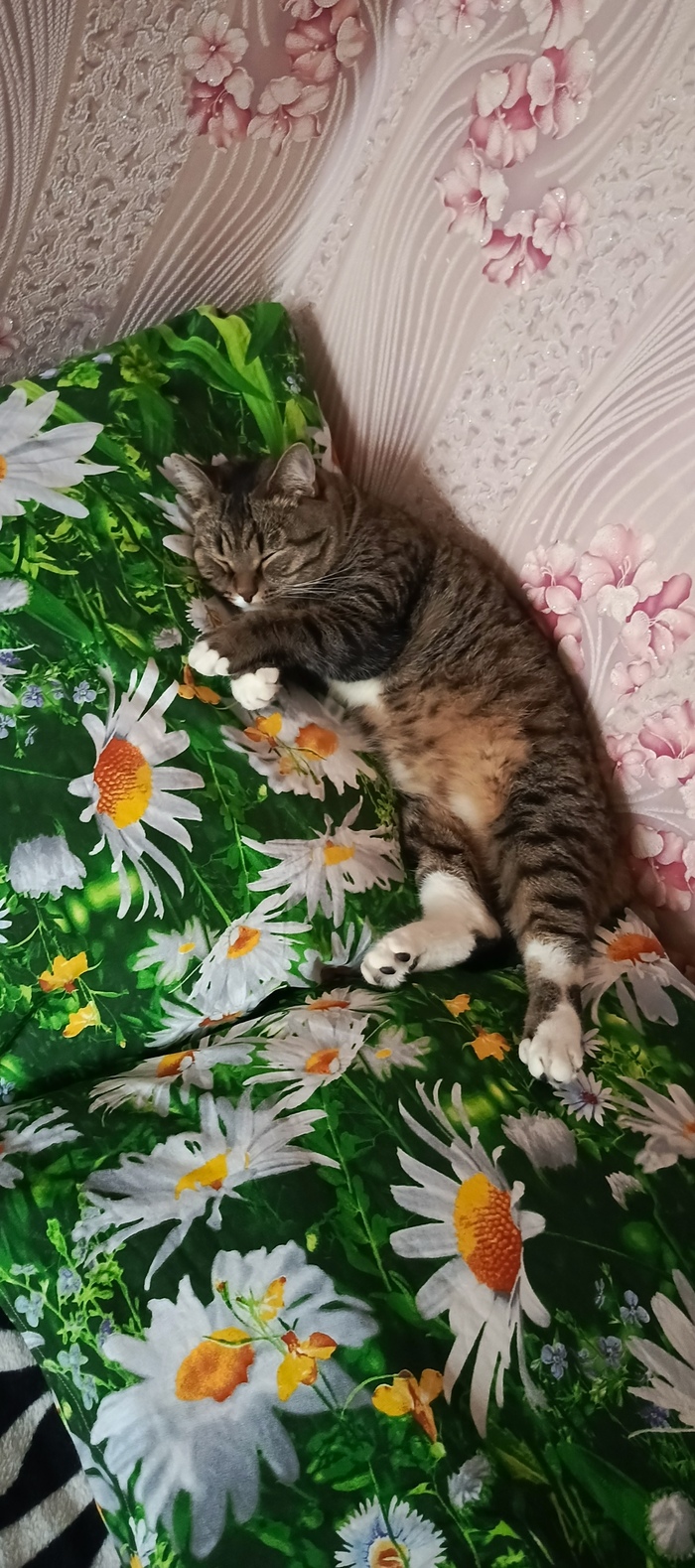 ��� ������ �����