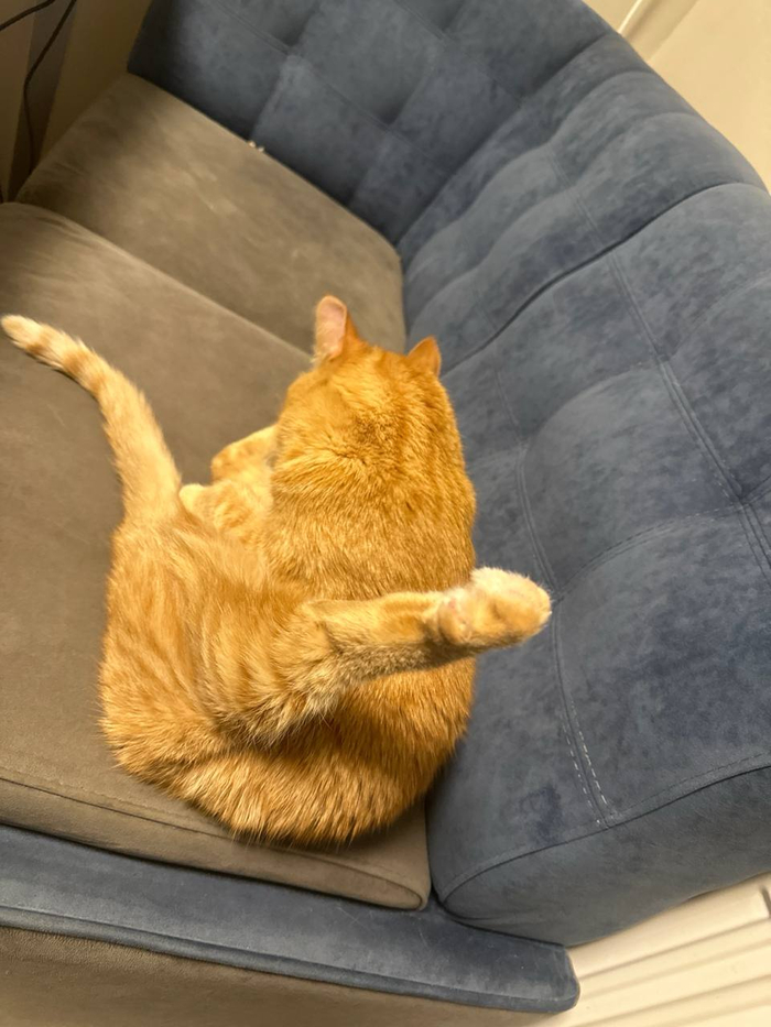 ���....����...