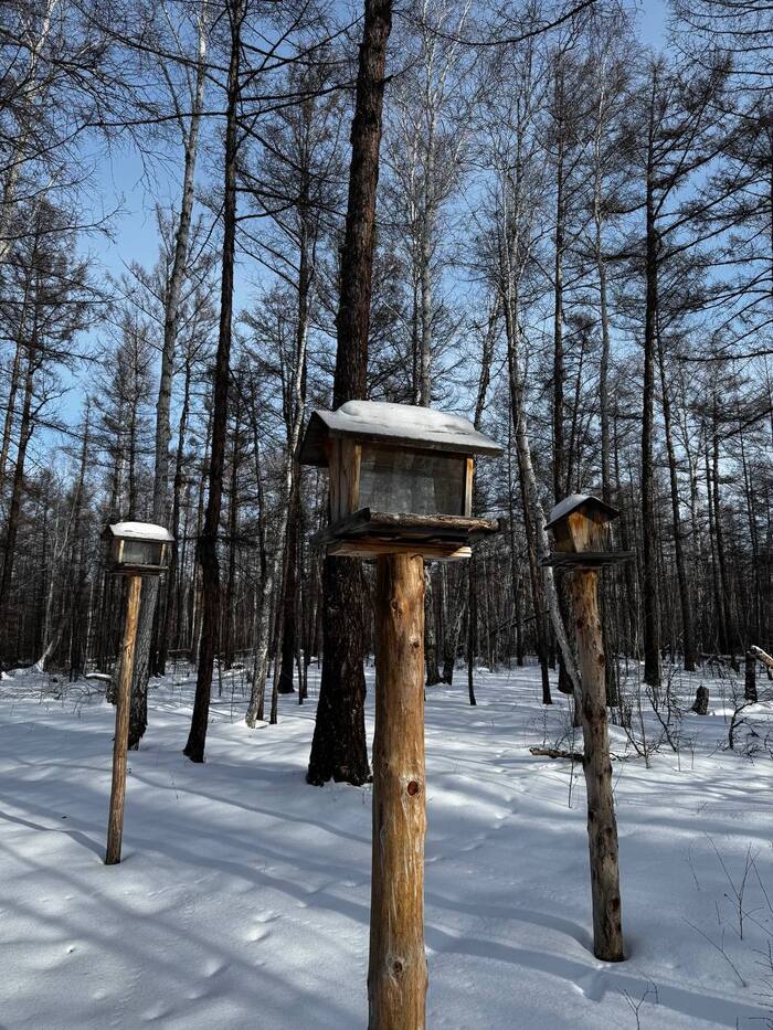 ������ � ����������