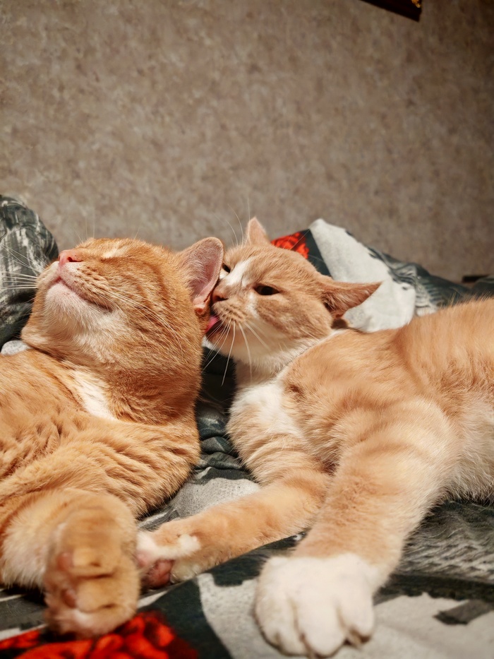 ������ ���� ����� ����. �����... ���������)