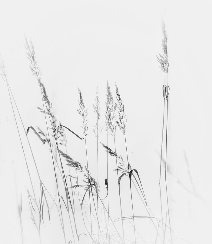 Без названия