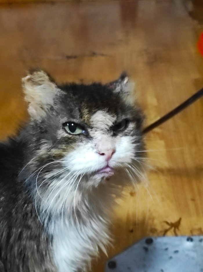 Наш любимый МИША ! Ему 15 лет !