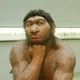 ������ ������������ Neandertalets