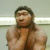 Neandertalets