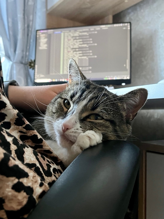 Пока кожаная работает, можно и поспать