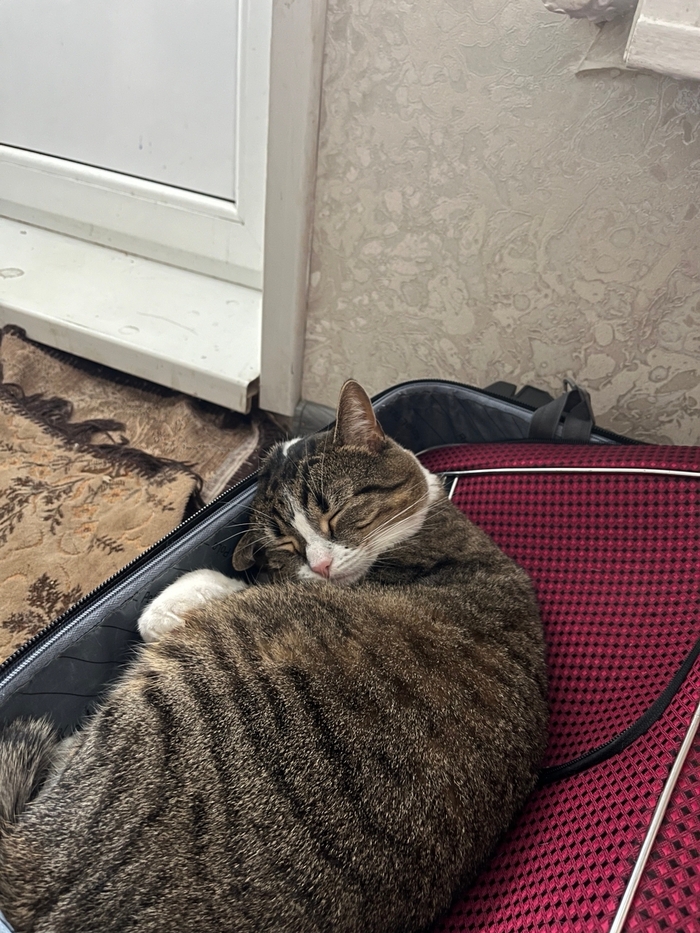 У курского вокзала...