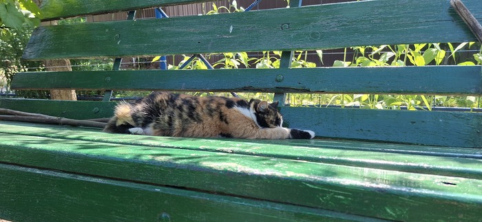 Наелась и спит.