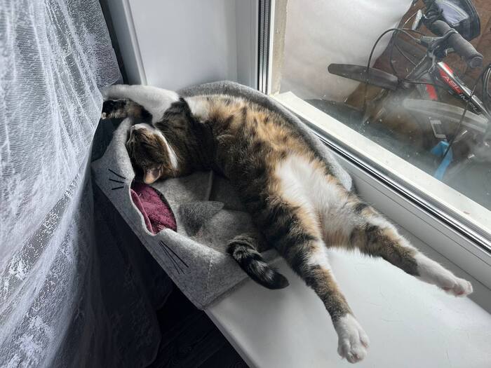 Утренние хоба