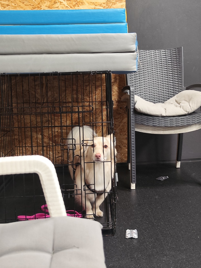 Опасный заключённый