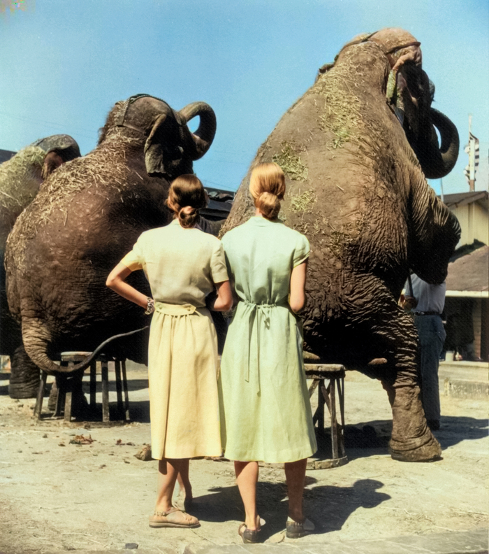 Фотограф: Луиза Даль-Вульф