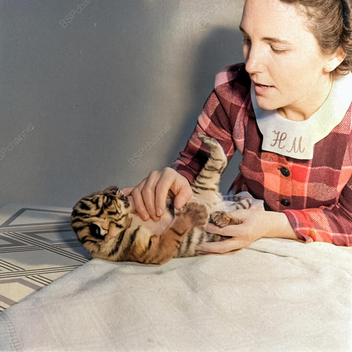 Фотограф: Альфред Эйзенштадт