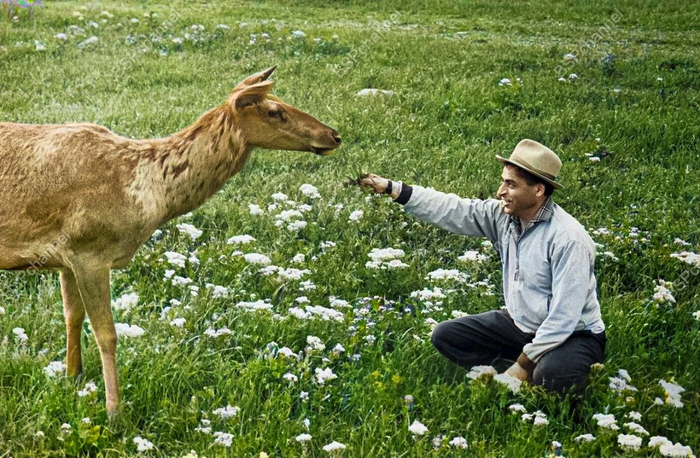 Фотограф: Владимир Минкевич