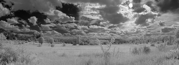 ����� ����������� �����, ������������ ���� ������ ��������