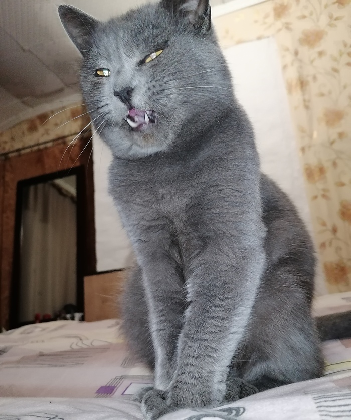 Филипп, пытался чихнуть