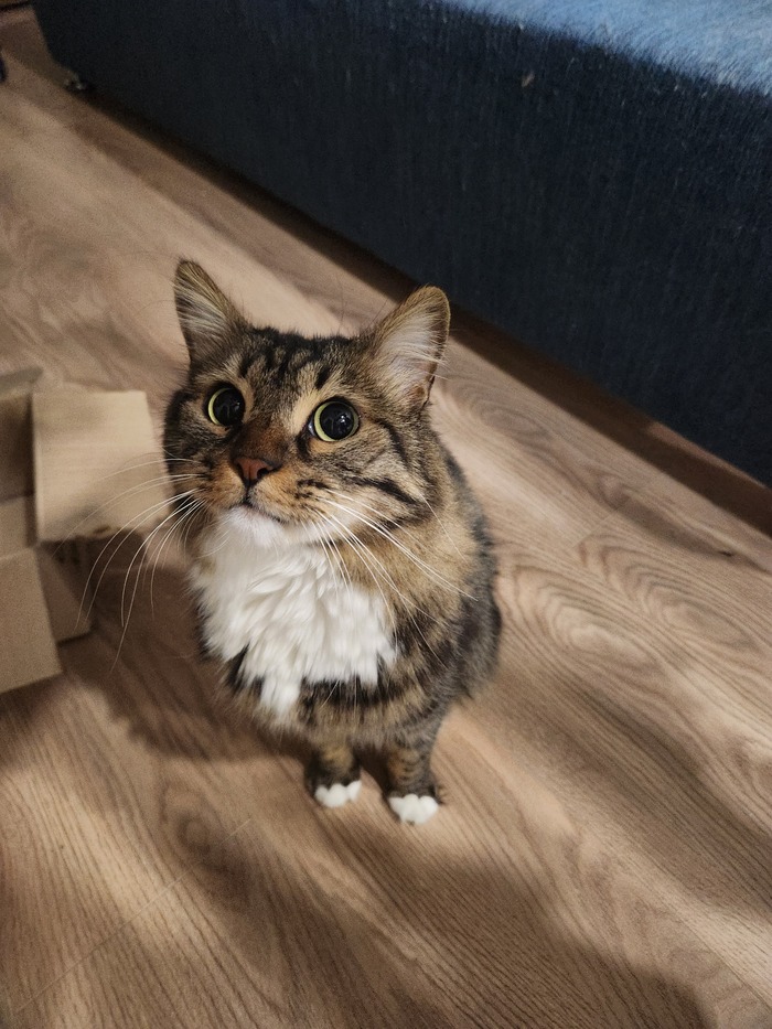 ���������� ������� #143