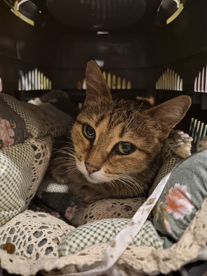 �� ��������� �� �������